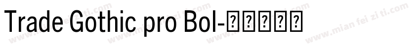 Trade Gothic pro Bol字体转换